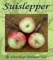 Preview: Apfelbaum, Sommerapfel "Suislepper"