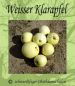 Preview: Apfelbaum, Sommerapfel "Weißer Klarapfel" (Augustapfel)