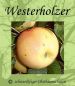 Preview: Apfelbaum, Sommerapfel "Westerholzer"