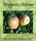 Preview: Artikelname Apfelbaum, Herbstapfel 'Doppelte Melone' (Malus 'Doppelte Melone') - alte Apfelsorte!