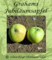 Preview: Apfelbaum, Herbstapfel 'Grahams Jubiläum' (Malus 'Grahams Jubiläumsapfel') - alte Apfelsorte!