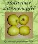 Preview: Apfelbaum, Herbstapfel ´Holsteiner Zitronenapfel´ (Malus ´Holsteiner Zitronenapfel´) - alte Apfelsorte!