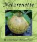 Preview: Apfelbaum, Herbstapfel 'Netzrenette' / 'Burchardts Renette' (Malus 'Netzrenette' / 'Burchardts Renette') - alte Apfelsorte!