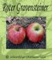 Preview: Apfelbaum, Herbstapfel 'Roter Gravensteiner' (Malus 'Roter Gravensteiner') - alte Apfelsorte!