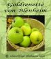 Preview: Apfelbaum, Winterapfel "Goldrenette v. Blenheim"