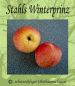 Preview: Apfelbaum, Winterapfel "Stahls Winterprinz"