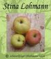 Preview: Apfelbaum, Winterapfel "Stina Lohmann"