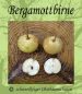 Preview: Birnenbaum, Sommerbirne "Bergamottbirne"