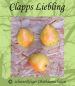 Preview: Birnenbaum, Sommerbirne "Clapps Liebling"