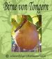 Preview: Birnenbaum, Herbstbirne "Birne aus Tongern"