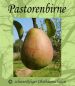 Preview: Birnenbaum, Winterbirne "Pastorenbirne"