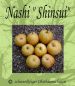 Preview: Nashi / Nashibirne (Asienapfel) "Shinsui" - Robuste Nashisorte!