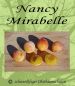 Preview: Mirabellenbaum "Mirabelle von Nancy"  (Nancy-Mirabelle)