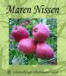 Preview: Zwergapfelbaum "Maren Nissen" Sommerapfel, Zwergobst-schwachwüchsig!