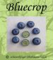 Blaubeere-Heidelbeere, Stammform 