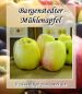 Preview: Apfelbaum, Herbstapfel 'Bargenstedter Mühlenapfel' (Malus 'Bargenstedter Mühlenapfel') - alte Apfelsorte!