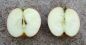 Preview: Apfelbaum, Herbstapfel 'Hadelner Rotfranch' (Malus 'Hadelner Rotfranch') - alte Apfelsorte!