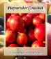 Preview: Apfelbaum, Herbstapfel 'Purpurroter Cousinot' (Malus 'Purpurroter Cousinot') - alte Apfelsorte!