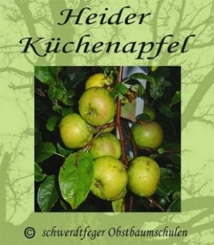 Apfelbaum, Winterapfel "Heider Küchenapfel"