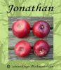 Apfelbaum, Herbstapfel "Jonathan"