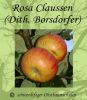 Apfelbaum, Herbstapfel "Rosa Claussen/Dithmarscher Borsdorfer"