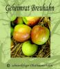 Apfelbaum, Winterapfel "Geheimrat Breuhahn"