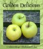 Apfelbaum, Winterapfel "Golden Delicious"