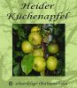 Apfelbaum, Winterapfel "Heider K�chenapfel"