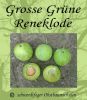 Reneklodenbaum "Gro�e Gr�ne Reineclaude"
