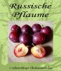 Pflaumenbaum, Halbstamm "Russische Pflaume"