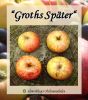 Apfelbaum, Winterapfel "Groths Sp�ter"