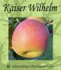 Zwergapfelbaum "Kaiser Wilhelm" - Herbstapfel, Zwergobst-schwachw�chsig!