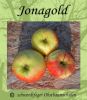 Zwergapfelbaum "Jonagold" - Herbstsorte, schwachw�chsig!