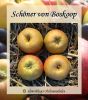 Zwergapfelbaum "Sch�ner von Boskoop" - Wintersorte, schwachw�chsig!