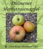 Apfelbaum, Herbstapfel "D�lmener Herbstrosenapfel"
