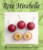 Mirabellenbaum - Rote Mirabelle "Typ Gokels"