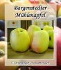 Apfelbaum, Herbstapfel "Bargenstedter M�hlenapfel"