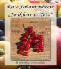 Johannisbeere-Rot "J. v. Tets" - Buschform/Strauchform