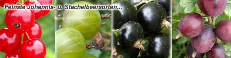 Ihr Alte Obstsorten Alte Apfelsorten www.alte