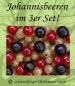 Preview: 3er Sparset! Johannisbeeren - rote/schwarze/weiße Johannisbeere - Stammform