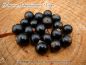 Preview: Schwarze Johannisbeere "Titan" ...Johannisbeersorte in Buschform/Strauchform