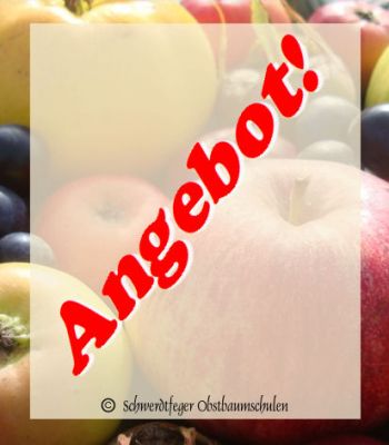 5x "Jägerbaum" - Obstbaum für Wild und Natur! (Bienennährgehölze)